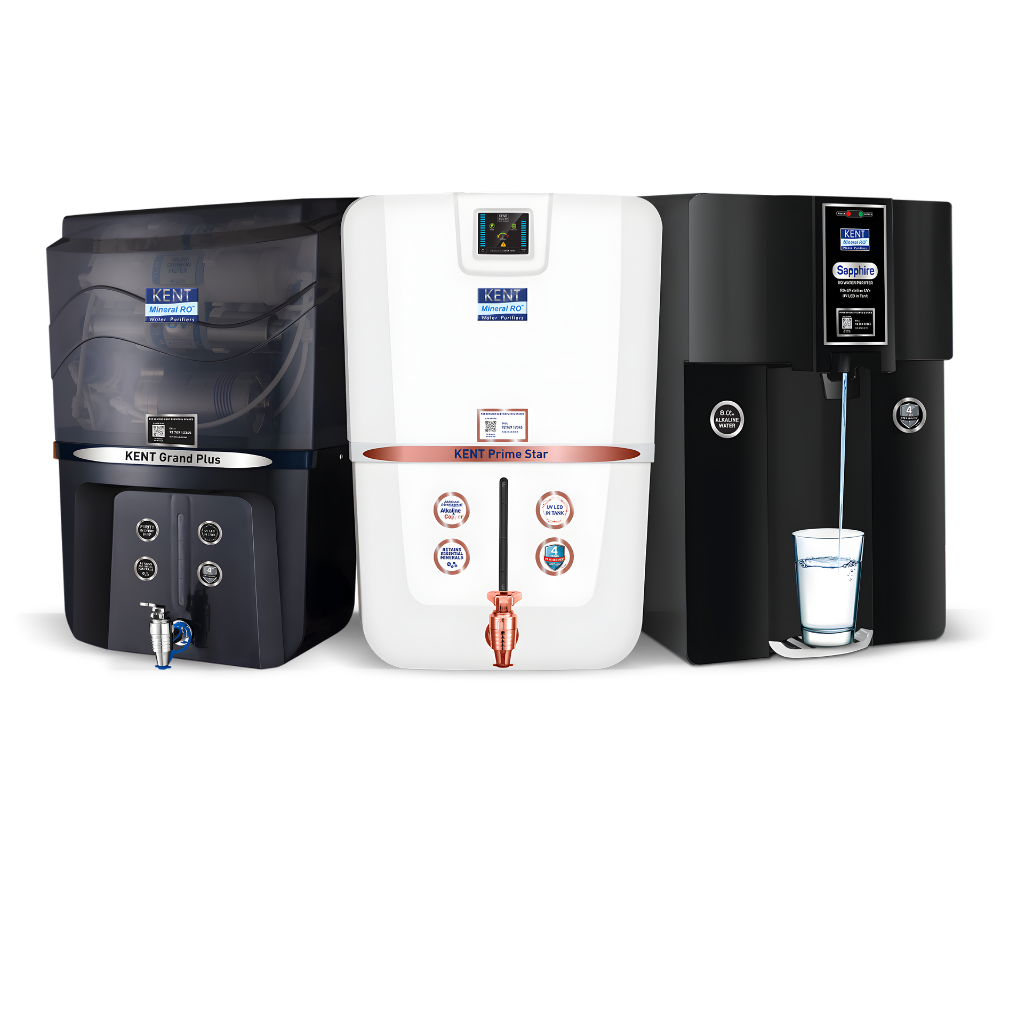 Global Innovative (21)